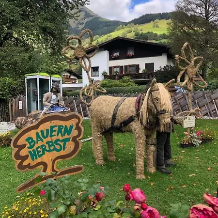 Daniela 5 アパート *