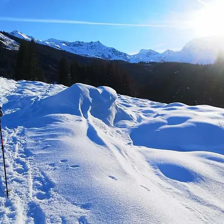 Daniela 5 アパート *