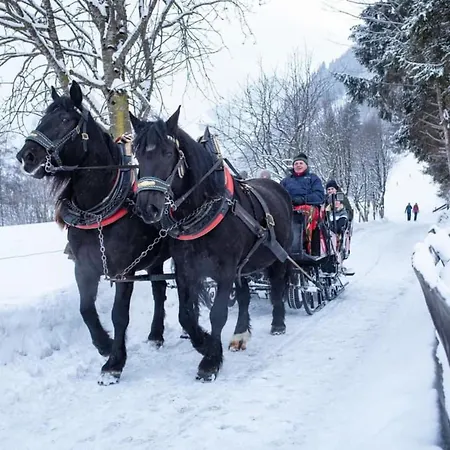 Daniela 5 アパート ラウリス