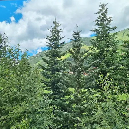 Daniela 5 アパート